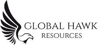 Global Hawk Logo